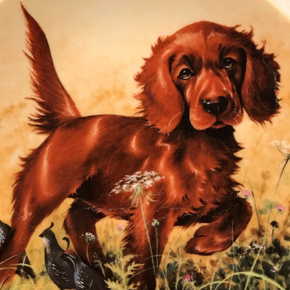 1988 Irish Setter Field Puppies Collector Plate by Lynn Kaatz - Picture 2 of 6